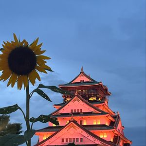 Sriyono