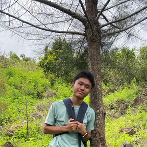 ferdi hsb