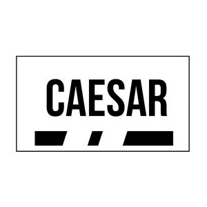 Caesar Idst