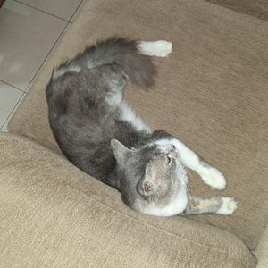 Asya