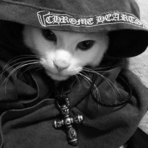 Stut Jack 666