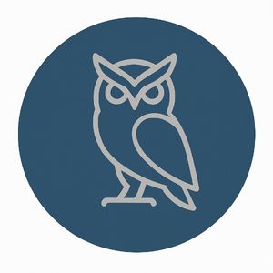 Owl Owl Second