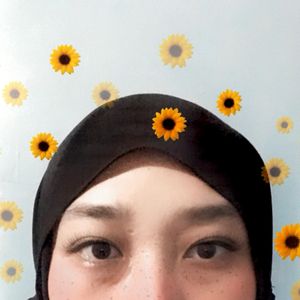 Anggi