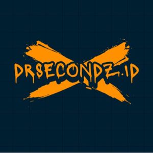 drsecondz.id