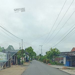 becarian