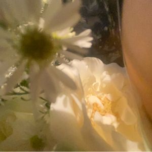 bloom