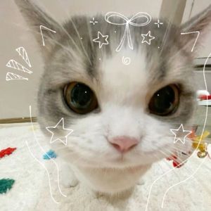 asya