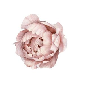 Serene Treasure