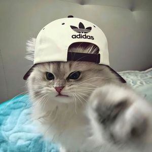 ShopMai