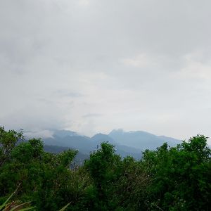 madmaulana