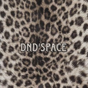 dnd.space
