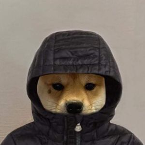 Iqbalddnhbb