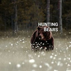 Hunting Bears