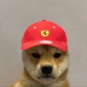 Ripa 🏎️‼️