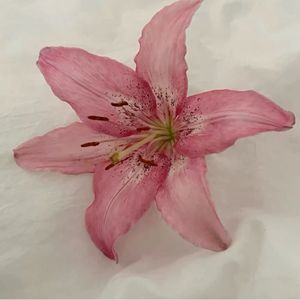 cha