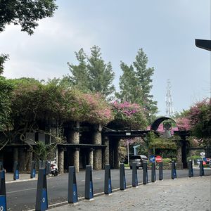 nita fredecia