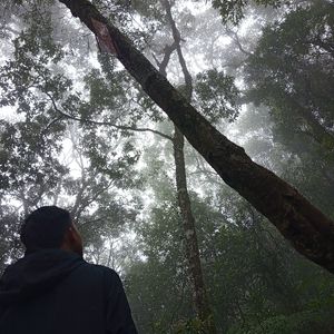 Bekas berkualitas