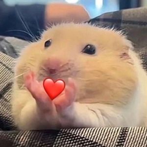Nooooovriii