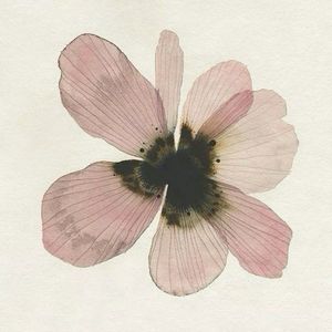 rosesmighty