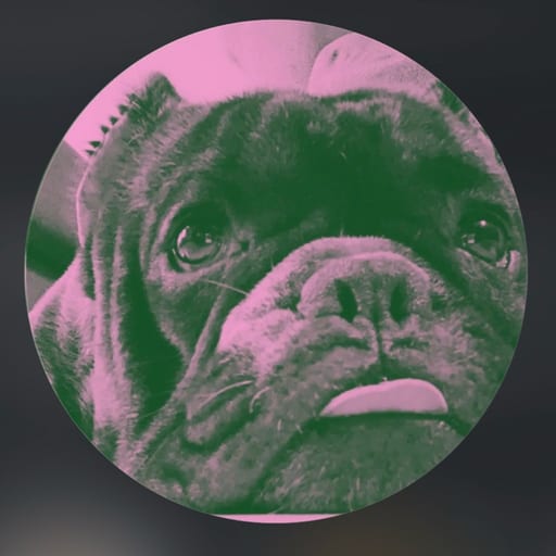 prelovedjackjack