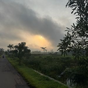 firrra