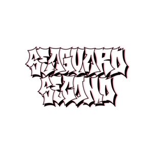 seaguard.scndd