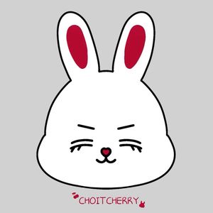 choitstuff