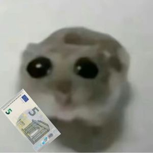 kaa