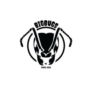 BigBugs