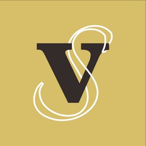Stylized Vision