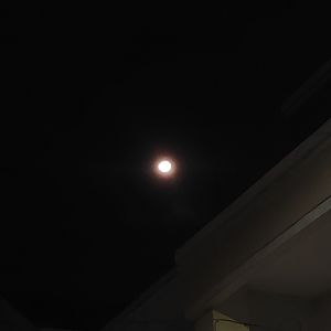Kusuma