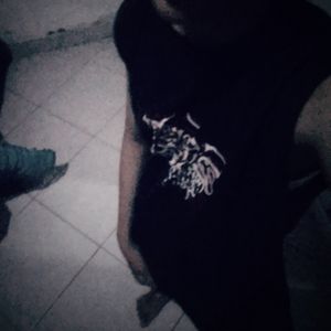 Varis