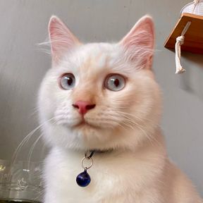 Axel