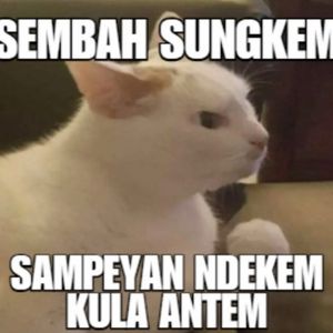 Aqza Surya