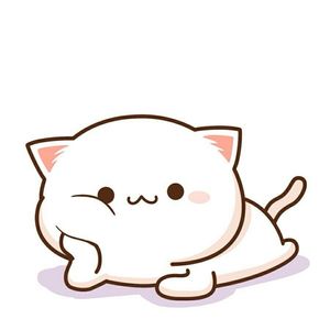 kiw reiy