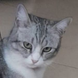 Aisyah RS