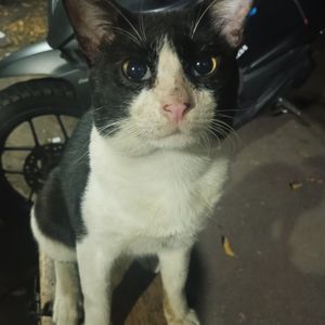 putmeonheaven