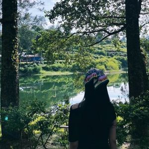 Prelovedbyputrief