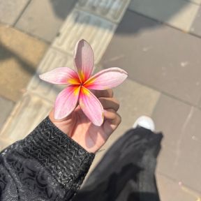 sooya’s page