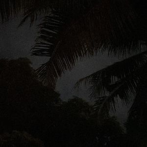 DarkMocha