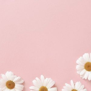 vithloved.co