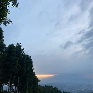LAPS
