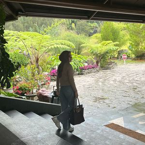 Nindy