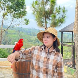 Novia Kurniawati