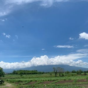 Alvino Sandy Nugroho