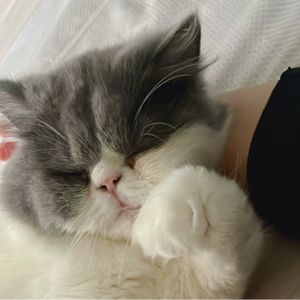 Heri