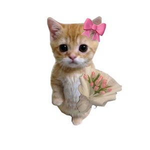 cacayi