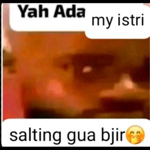 Mvs