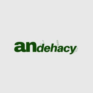 andehacy