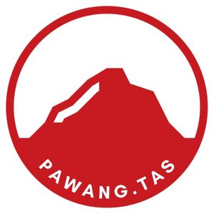 Tas Branded